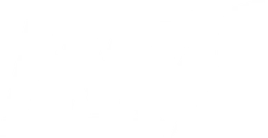 New Winners International